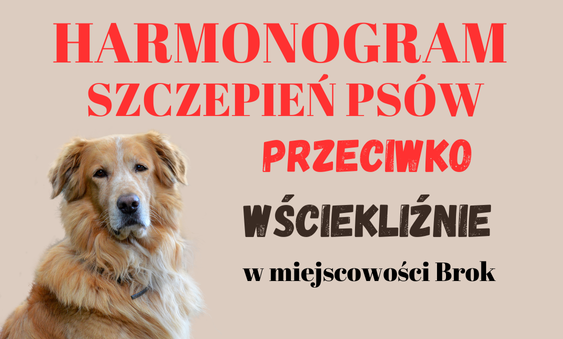 Harmonogram