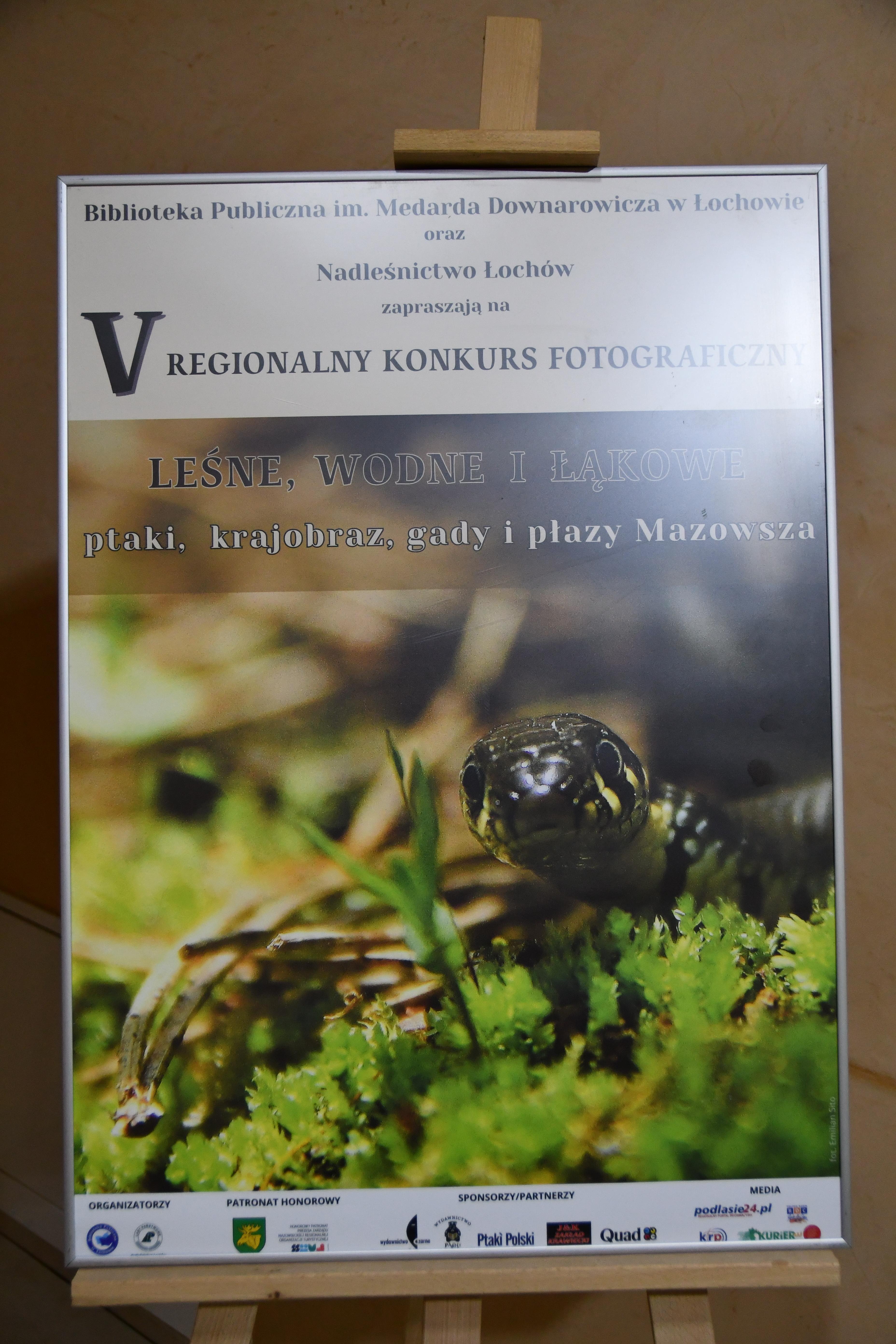 Natura w obiektywie– wystawa fotograficzna w Ratuszu Miejskim!