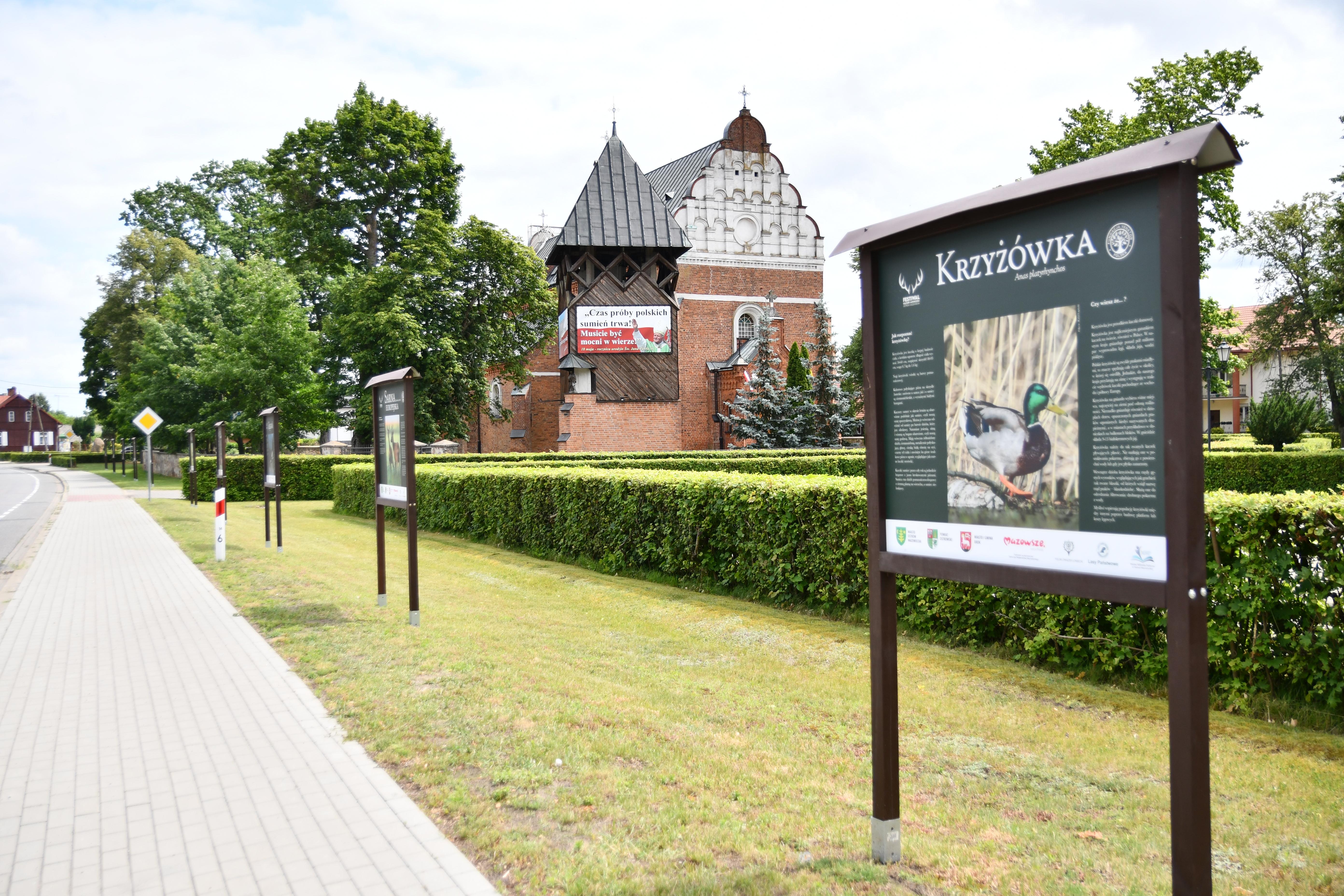Wystawa plenerowa